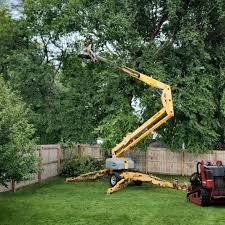 Best Leaf Removal  in Seaside Heights, NJ