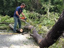Best Lawn Drainage Solutions  in Seaside Heights, NJ