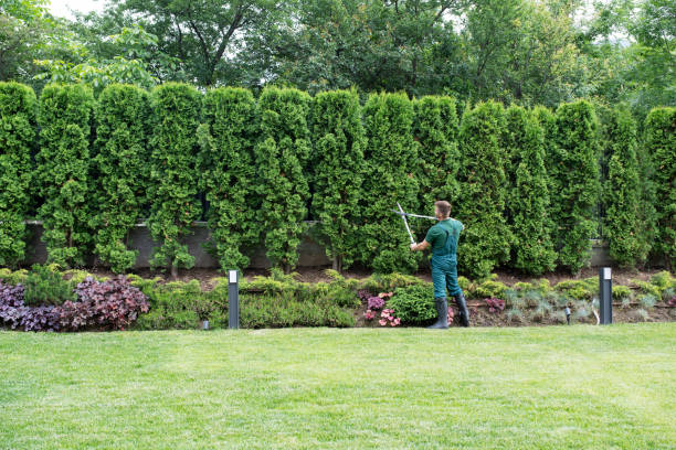 Best Lawn Grading and Leveling  in Seaside Heights, NJ
